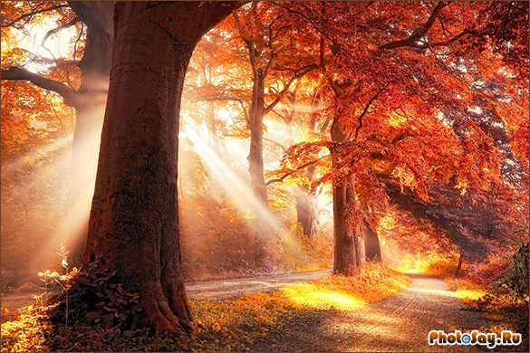Как Снять Красивые Осенние Фото